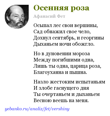 Афанасий Фет осенняя роза