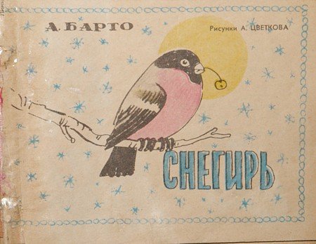 Снегирь Агния