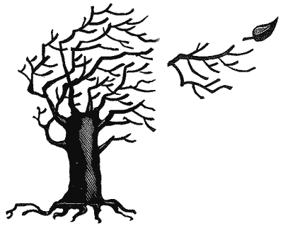 Лист стихотворение Лермонтова