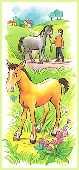 Саша черный жеребенок