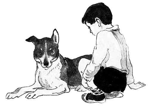 Осеева почему иллюстрации