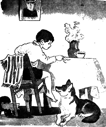 Осеева почему