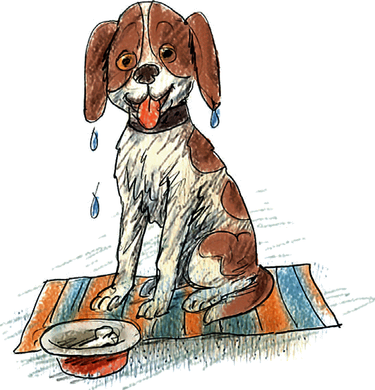 Щенок на крыльце