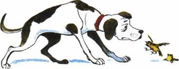 Иллюстрация к стихотворению в прозе тургенева воробей (49 фото)