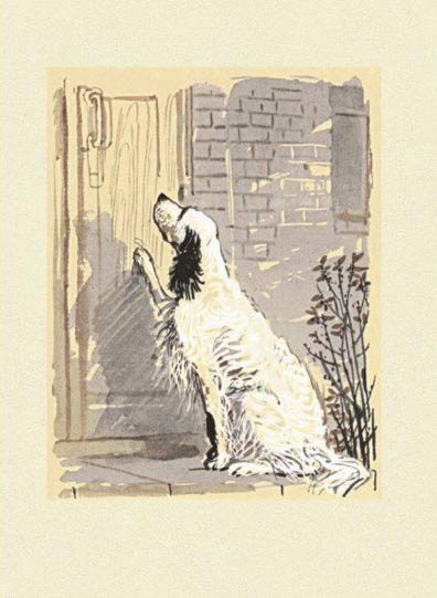 Иван Иваныч белый Бим черное ухо из книги