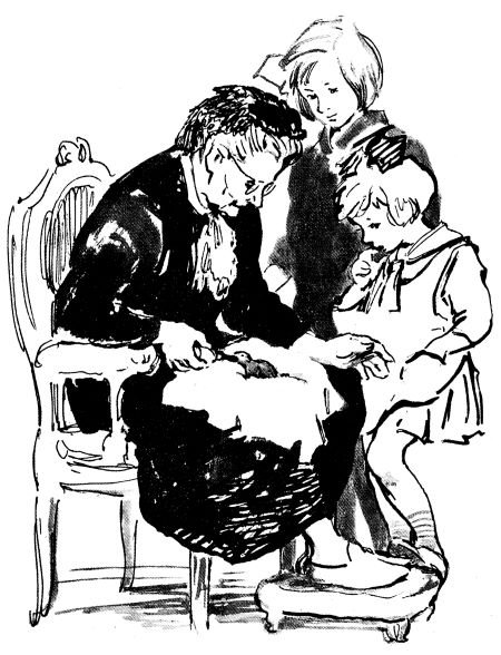 Верейская белая шубка