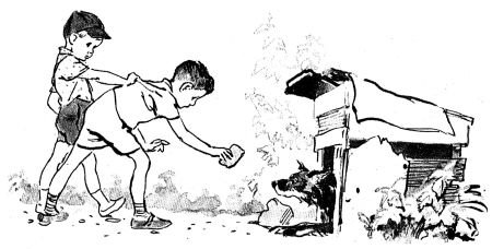 Верейская белая шубка иллюстрации