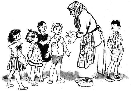 Верейская белая шубка иллюстрации