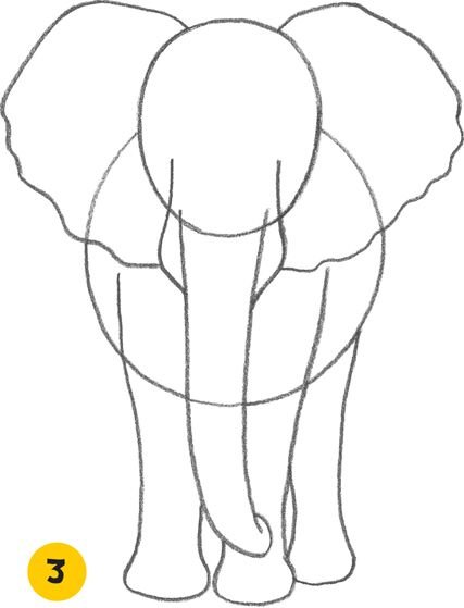 Куприн Александр Иванович слон