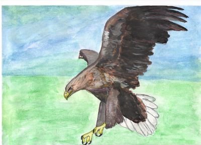 Орёл Сокол Беркут в живописи маслом
