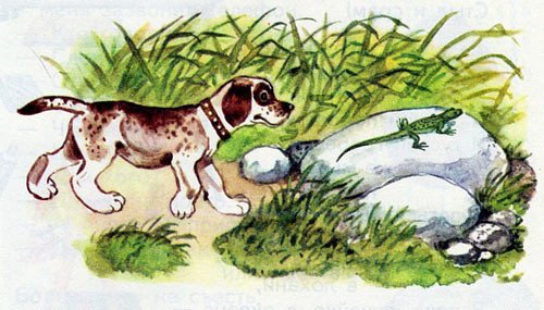 Сказка первая охота Бианки