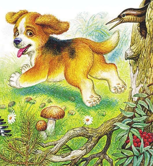 Первая охота Виталий Бианки иллюстрации