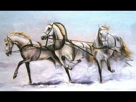 Зимние катания на санях