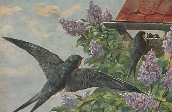 Константин Дмитриевич Ушинский Ласточка