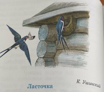 Ласточка примчалась из-за бела моря а Майков