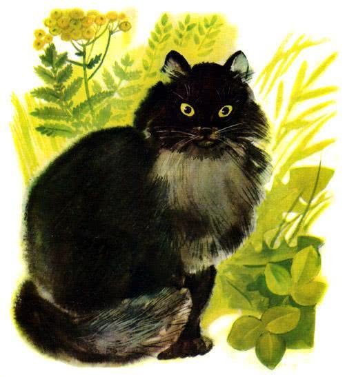 Сказка Чуковского цыпленок