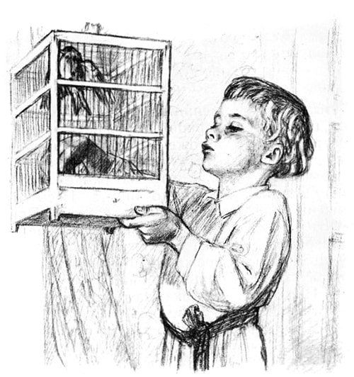 Лев толстой птичка быль