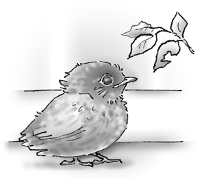 Рассказ птичка Льва Толстого