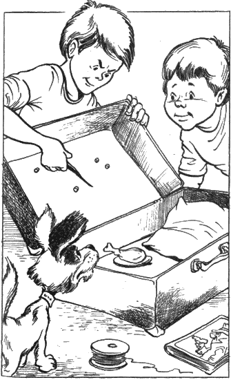 Картинки к рассказу Носова дружок