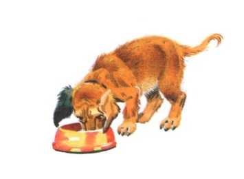 Иллюстрации к рассказу Носова дружок