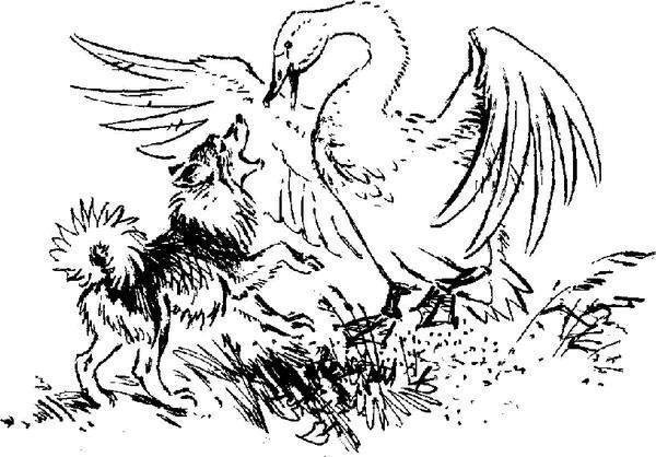 Д Н мамин Сибиряк приемыш