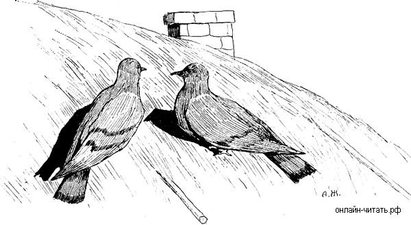 Иван Крылов два голубя