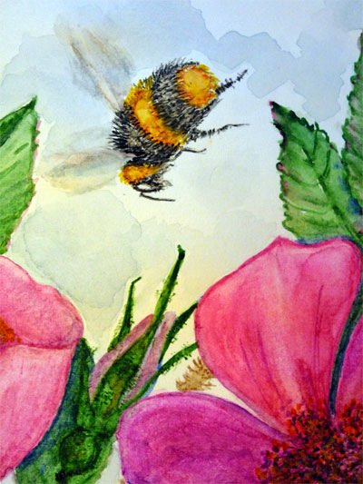 Рисунок полет шмеля из сказки о царе Салтане