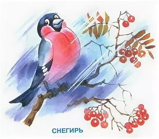 Стих Снегирь Агния Барто