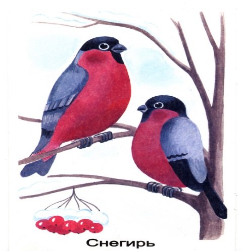 Агния Барто Снегирь