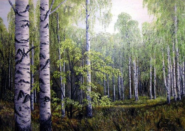 Волков Ефим Ефимович в Березовом лесу