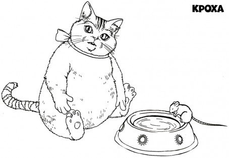 Скребицкий кот Иваныч