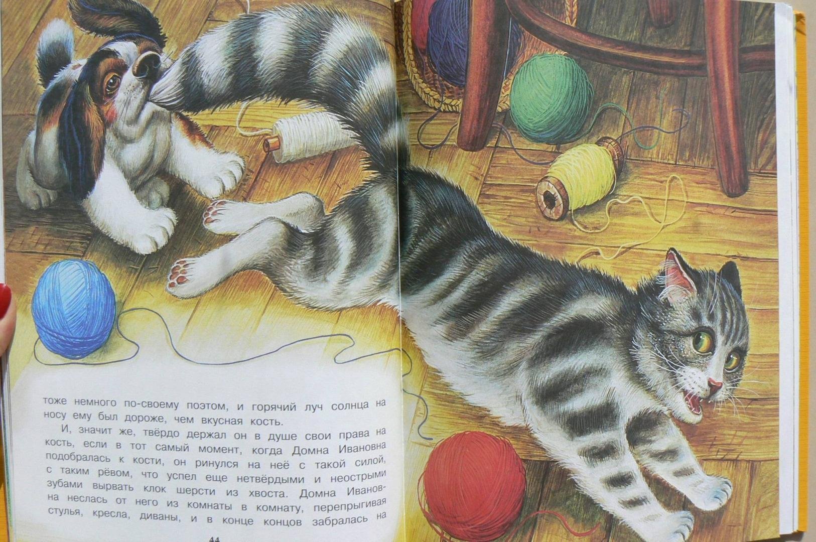 Иллюстрация к рассказу котенок толстого