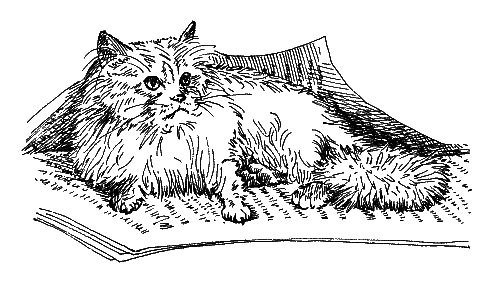 Скребицкий кот Иванович