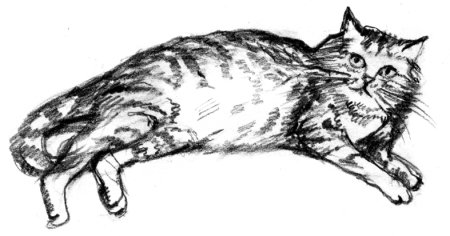 Иллюстрация к рассказу кот иваныч (46 фото)