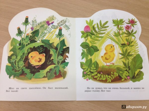 Сказка Чуковского цыпленок