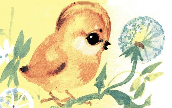 Сказка Чуковского цыпленок