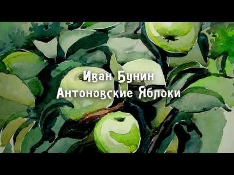 Антоновские яблоки Иван Бунин