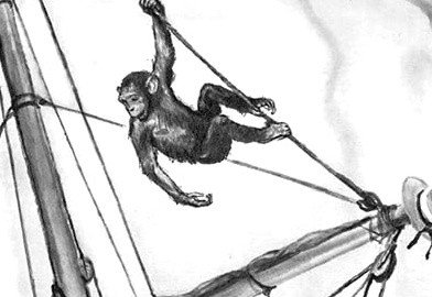 Иллюстрации к рассказу прыжок л.н Толстого