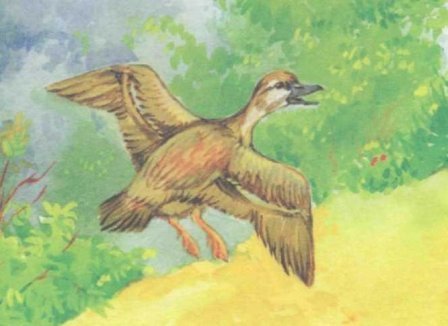 Рассказ Пришвина ребята и утята