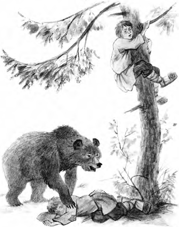 Два товарища толстой