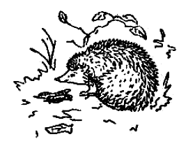 Контур ежа для рисования