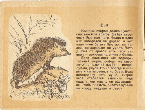 Георгий Скребицкий воришка