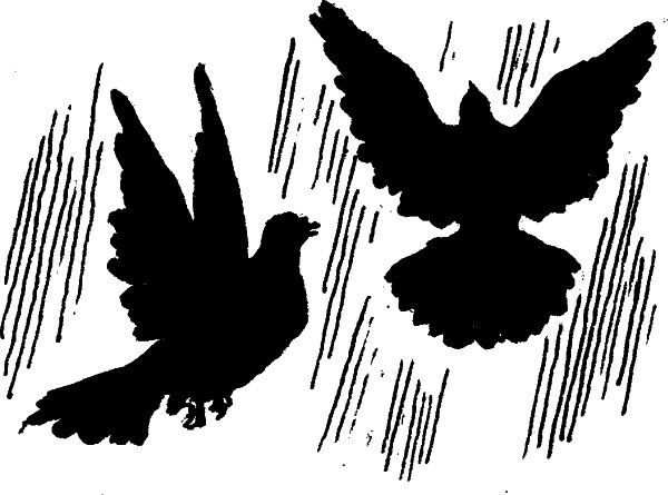 Иван Тургенев голуби