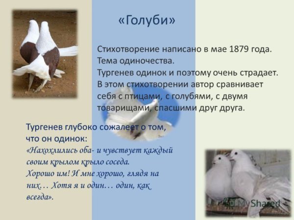 Крапивник голубятня в Орехове