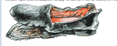 Михаил Пляцковский галоша
