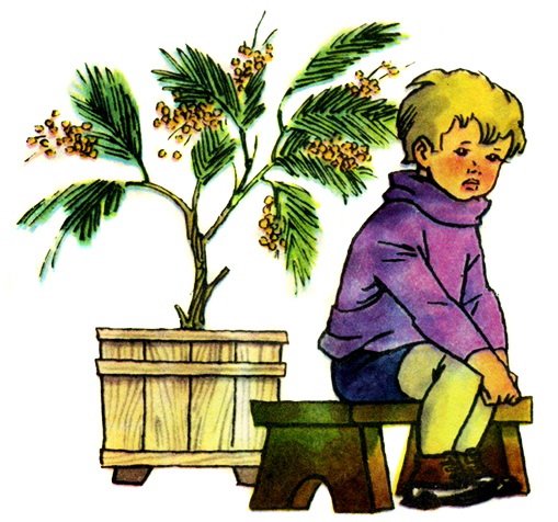 Сергей Михалков "про мимозу"