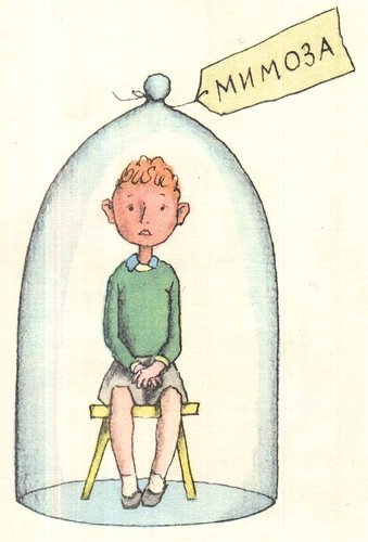 Про мимозу Михалков иллюстрации