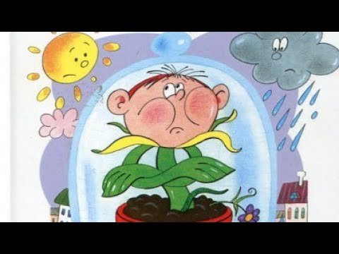 Про мимозу Михалков иллюстрации