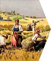 Богатый урожай рисования