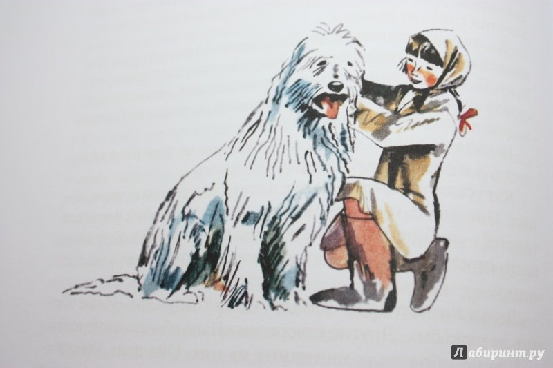 Яковлев рассказ память. Иллюстрации к рассказам Юрия Яковлева. Иллюстрации к рассказу Юрия Яковлева у человека должна быть собака.